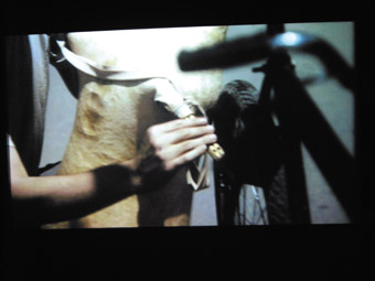 here is More Than One Way to Skin a Sheep (video still), Jennifer Allora (US) & Guillermo Calzadilla
