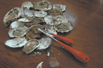 Primary Producers, Sean Cordeiro and Claire Healy’s <BR>oyster shucking picnic<BR />