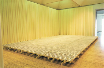 RAFT (2005), with Paul Carter, collection Art Gallery NSW