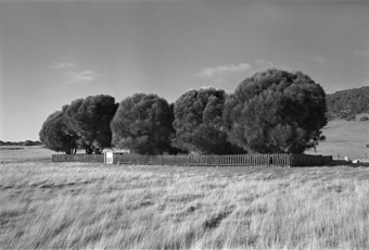 The Healing Garden, Wybalenna, Flinders Island, Tasmania from Portrait of a Distant Land, 2005. silver gelatin print