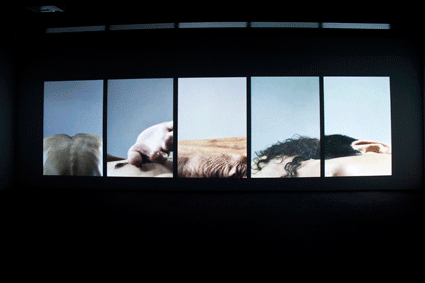 Wang Gongxin, Basic Colour (2010), installation view