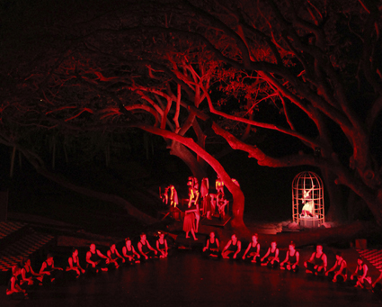 Zombies in the Banyan Tree, Tracks Dance Company 