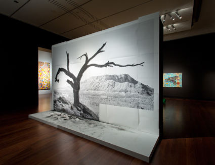 Installation view 2014 Adelaide Biennial of Australian Art: Dark Heart featuring Warwick Thornton, 2014, Art Gallery of South Australia
