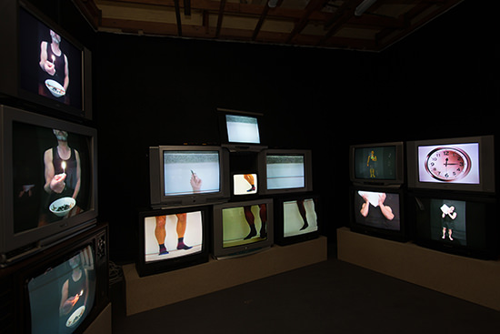 Michael Shaefer (2015 BVA graduate) FireHold, JumpDraw, IceHold, 2015, dual channel video installation