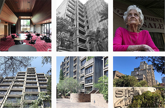 selection of images from #saveoursirius on Instagram