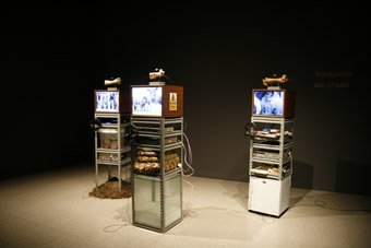Boo Chapple, Transjuicer, 2009, installation view, John Curtin Gallery, 2010