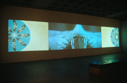 Dana Claxton, Rattle, 2003, installation view