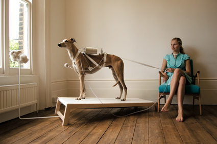 Life Support: Ventilation Dog, 2009, Revital Cohen