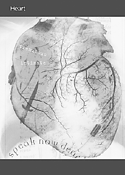 Norie Neumark & Maria Miranda Dead Centre: the body with organs
